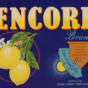 Encore Brand Lemons