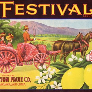 Festival Brand Festival Brand