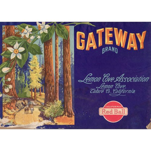 Gateway Brand Lemon