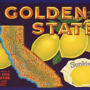 Golden State Lemon