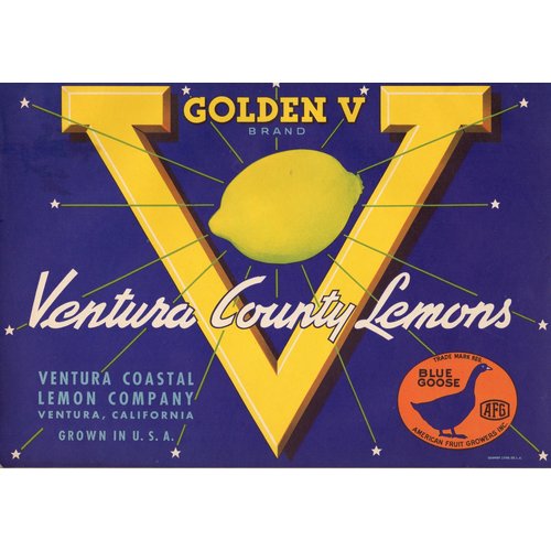 Golden V Ventura