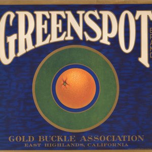 Greenspot Orange