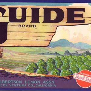 Guide Brand