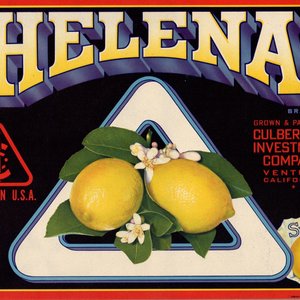 Helena Lemon