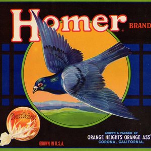 Homer Orange