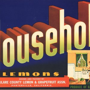 Household Lemons