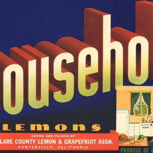 Household Lemons