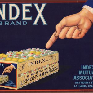 Index Brand