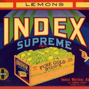 Index Supreme Index Supreme