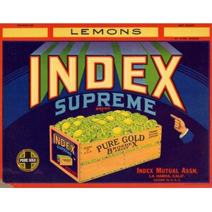 Index Supreme Index Supreme