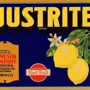 Justrite Lemon