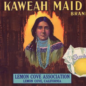 Kaweah Maid Lemon Kaweah Maid Lemon