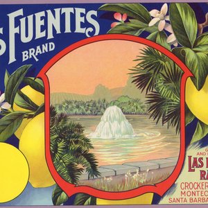 Las Fuentes Lemons Las Fuentes Lemons