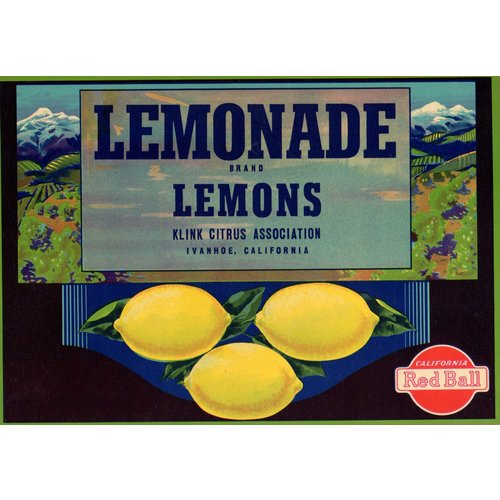 Lemonade Lemons Lemonade Lemons