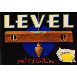 Level Lemon Level Lemon