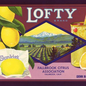 Lofty Lemon Lofty Lemon