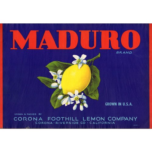 Maduro Lemon