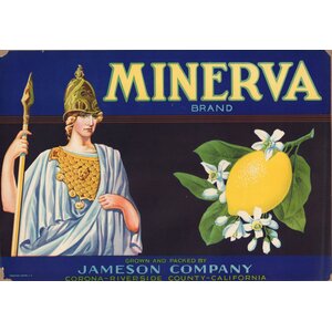 Minerva Lemon Minerva Lemon