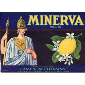 Minerva Lemon Minerva Lemon
