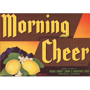 Morning Cheer Morning Cheer