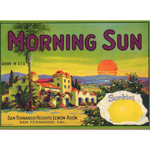 Morning Sun Morning Sun