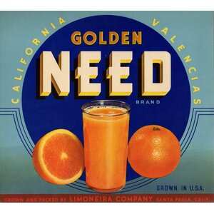 Need Golden Orange Need Golden Orange