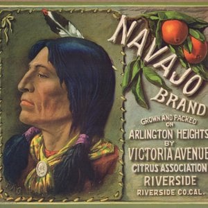 Navajo Brand