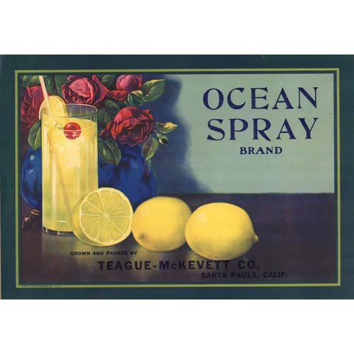 Ocean Spray Lemon Ocean Spray Lemon