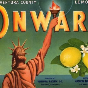 Onward Lemons