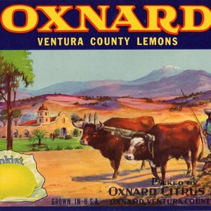 Oxnard Lemon