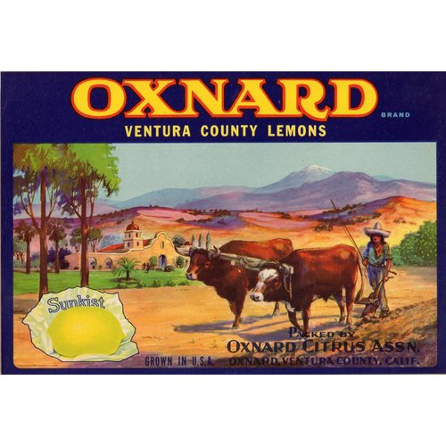 Oxnard Lemon Oxnard Lemon