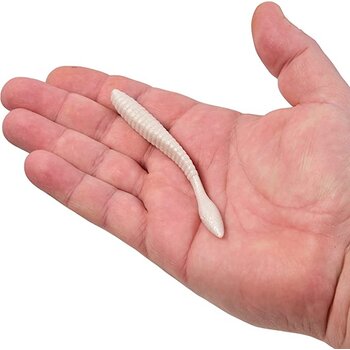 Berkley Berkley PowerBait Max scent Flatworm 3.6" 10 Pkg Ct, White Pearl...0361
