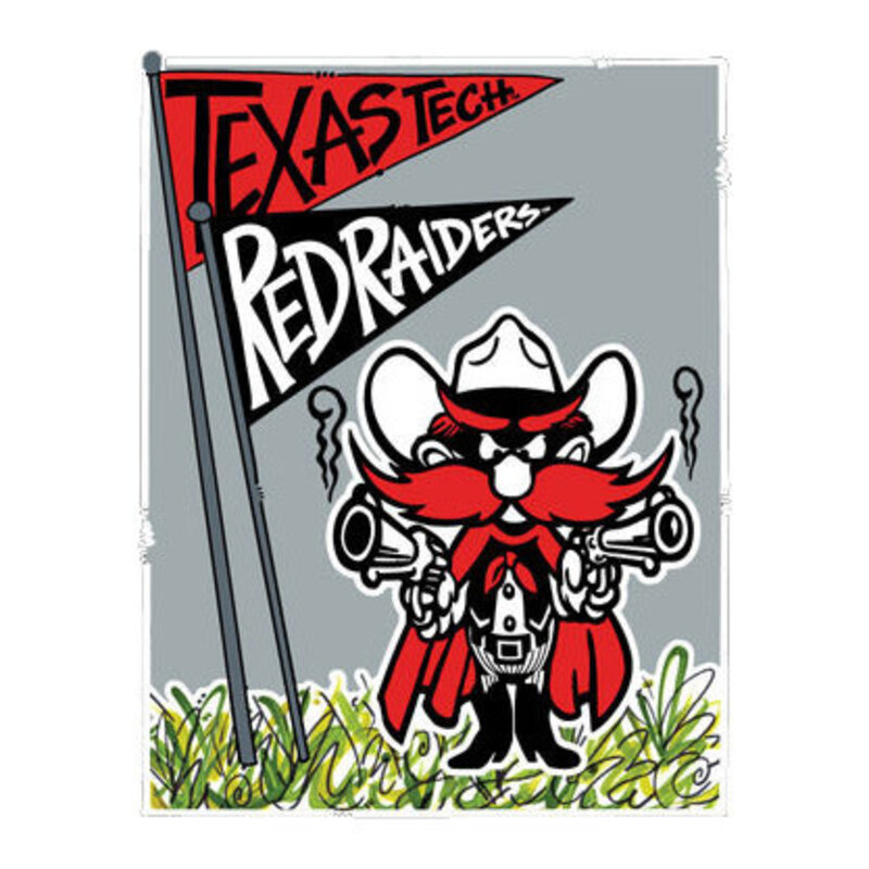 Magnolia Lane Raider Red Grey Garden Flag