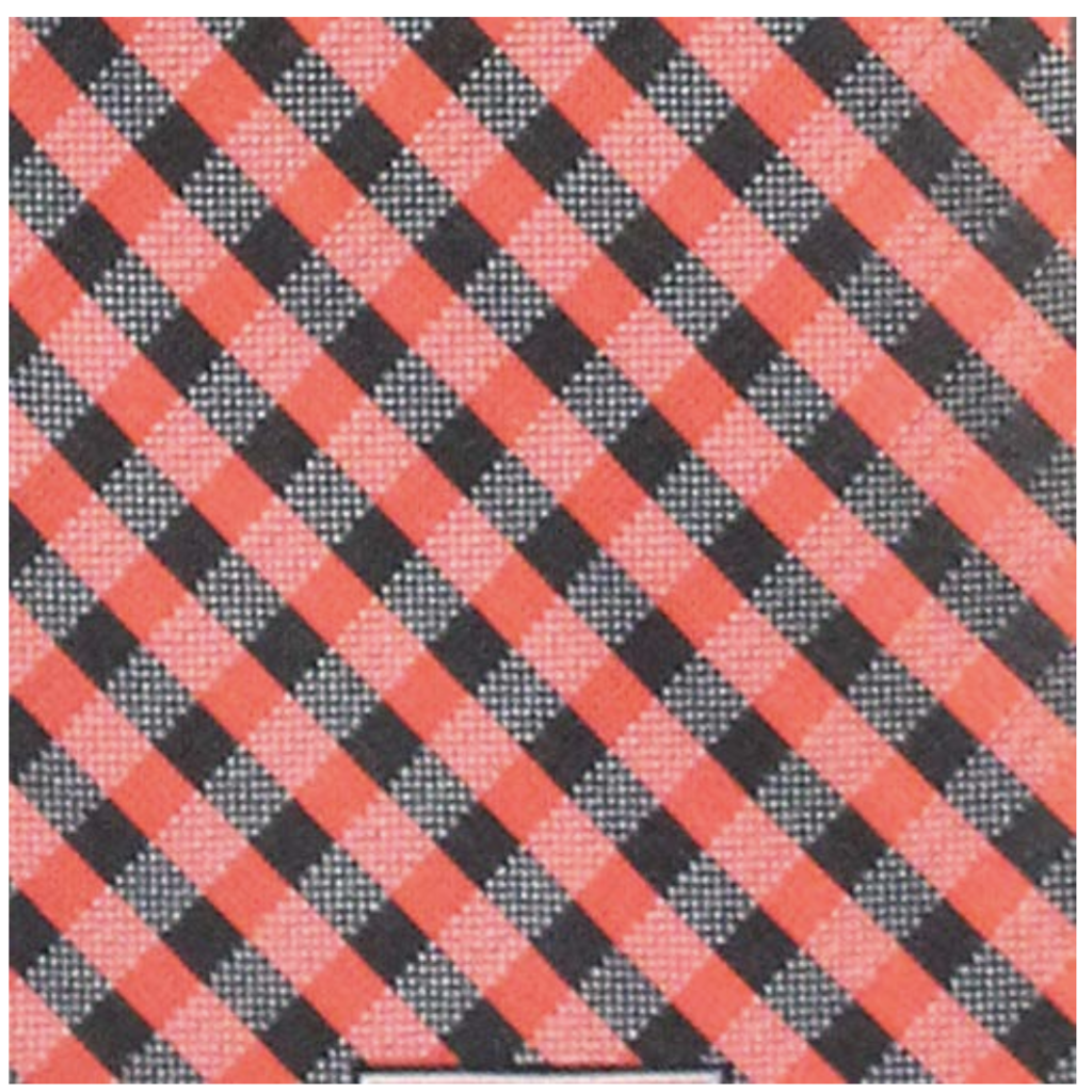 Eagles Wings Men's Dress Tie Gingham