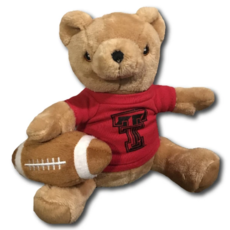 Brown Sports Bear