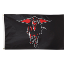 Deluxe Masked Rider Flag 3 x 5