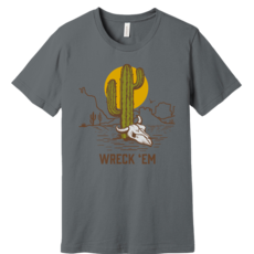 Bella Canvas Desert Skull Short Sleeve Tee