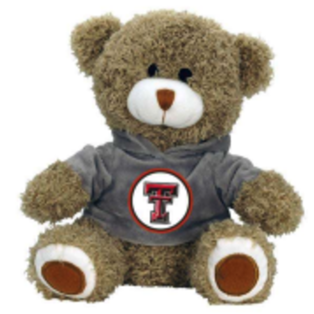 Jenkins Teddy Bear with Hoodie