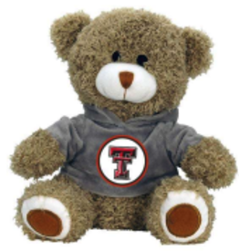 Jenkins Teddy Bear with Hoodie
