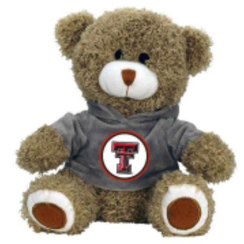 Teddy Bear with Hoodie