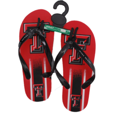 Double T Flip Flops