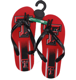 Double T Flip Flops