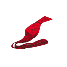 College Town Toiles College Town Toiles Lubbock Bow Tie