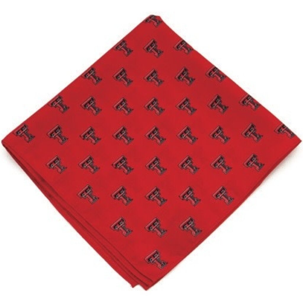 Eagles Wings Pocket Square / Kerchief