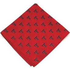 Eagles Wings Pocket Square / Kerchief