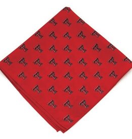 Eagles Wings Pocket Square / Kerchief