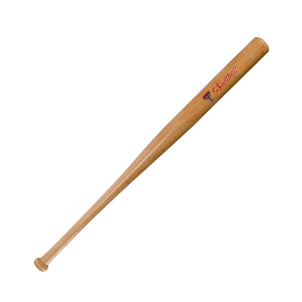 Jenkins Softball Mini Baseball Bat