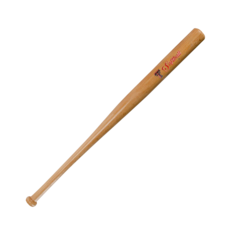 Jenkins Softball Mini Baseball Bat