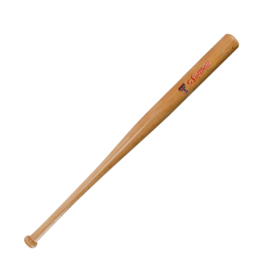 Jenkins Softball Mini Baseball Bat