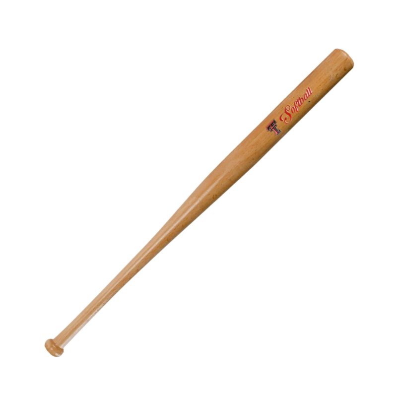 Jenkins Softball Mini Baseball Bat